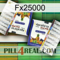 Fx25000 12